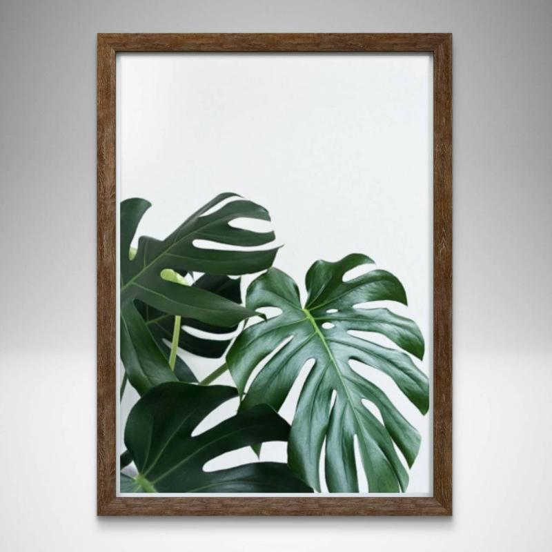 モンステラ (1) ボタニカル A4サイズ 額縁セット 北欧風 ポスターaoipro