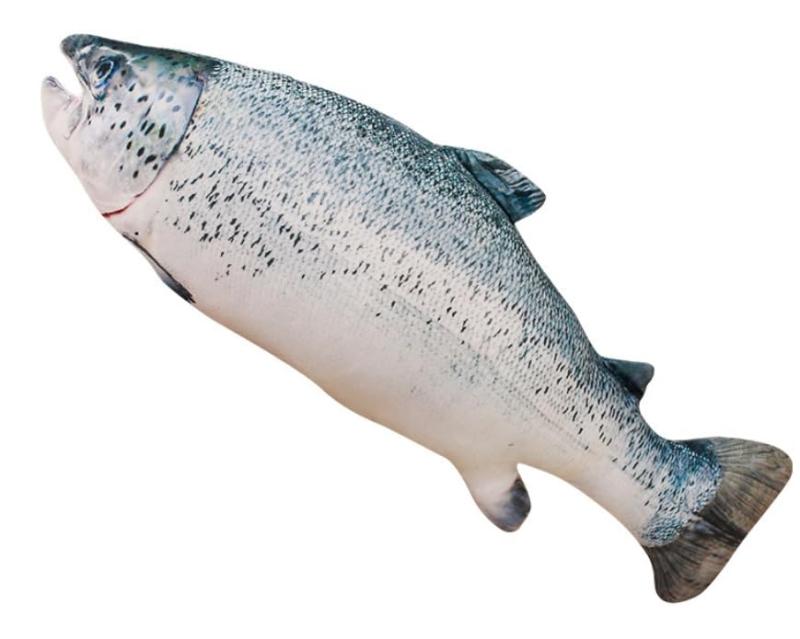 【dokidoki】サケ さけ シャケ サーモン 魚 さかな クッション 40cm 猫ちゃん ぬいぐるみ 可愛い イベント パーティー プレゼント 萌え 鮭