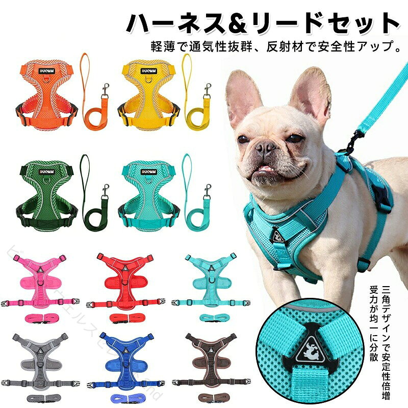 アウトレット 犬 ハーネスリードセット 超小型犬 中型犬 胴輪 犬ハーネスリード 抜...