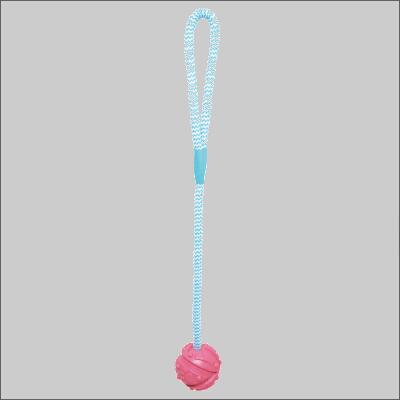樂天商城 - プラッツ K-9 ボール ペクチン S サイズ (70g)