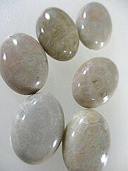 e−beadsの珊瑚化石　珊瑚石 ビーズ　珊瑚 パーツ　カボション−4｜アングル3