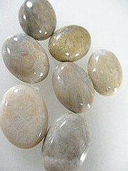 e−beadsの珊瑚化石　珊瑚石 ビーズ　珊瑚 パーツ　カボション−4｜アングル2