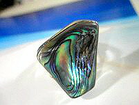 �ϥ磻���󥸥奨�꡼ ��� ���� �ϥ磻���� �������� ���ء�14/������� ��������