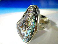 �ϥ磻���󥸥奨�꡼ ��� ���� �ϥ磻���� �������� ���ء�11/������� ��������