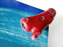 珊瑚 ペンダントトップ-54 赤サンゴ ペンダントトップ珊瑚 アクセサリー 珊瑚 ネックレス 製作用 珊瑚 赤珊瑚 赤サンゴ コーラル 珊瑚 ビーズ 珊瑚 ペン...