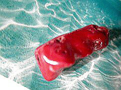 珊瑚 ペンダントトップ 59 赤サンゴ ペンダントトップ珊瑚 アクセサリー 珊瑚 ネックレス 製作用 珊瑚 赤珊瑚 赤サンゴ コーラル 珊瑚 ビーズ 珊瑚 ペン...