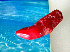 珊瑚 ペンダントトップ61 赤サンゴ ペンダントトップ珊瑚 アクセサリー 珊瑚 ネックレス 製作用 珊瑚 赤珊瑚 赤サンゴ コーラル 珊瑚 ビーズ 珊瑚 ペンダ...