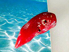 珊瑚 ペンダントトップ 赤サンゴ ペンダントトップ67珊瑚 アクセサリー 珊瑚 ネックレス 製作用 珊瑚 赤珊瑚 赤サンゴ コーラル 珊瑚 ビーズ 珊瑚 ペンダ...