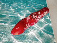 珊瑚 ペンダントトップ 赤珊瑚 ペンダントトップ-69珊瑚 天然石ペンダントトップ 珊瑚 ネックレス制作用 珊瑚 アクセサリー制作用 珊瑚 ビーズ 珊瑚 パーツ...