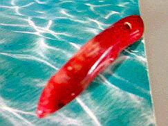 珊瑚 ペンダントトップ 赤サンゴ ペンダントトップ-71珊瑚 アクセサリー 珊瑚 ネックレス 製作用 珊瑚 赤珊瑚 赤サンゴ コーラル 珊瑚 ビーズ 珊瑚 ペン...