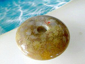 珊瑚ペンダントトップ ドーナツ ペンダントトップ-3 珊瑚原石 天然石原石 鉱物珊瑚 サークルペンダントトップ 天然石ペンダントトップ 珊瑚アクセサリー 珊瑚ネックレス 珊瑚ピアス