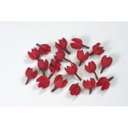 アクセサリーパーツ　ドライフラワー　フヨウの実（赤）アクセサリーパーツとしてのドライフラワー　 木の実　花材ドライフラワー 　花材で手作りネックレスに挑戦自然たっぷりのネックレス作ってみませんか