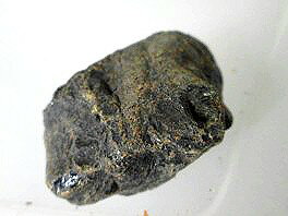 琥珀 原石 天然石 原石 琥珀 鉱物原石 琥珀-S43 アンバー原石 女性癒しの天然石 女性 癒しグッズ ヒーリング グッズ