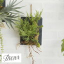 Brown. ブラウン ファーン ウォールハンギング スレート 20 _PP02 991730 観葉植物 造花 フェイクグリーン インテリアグリーン シダ リア...