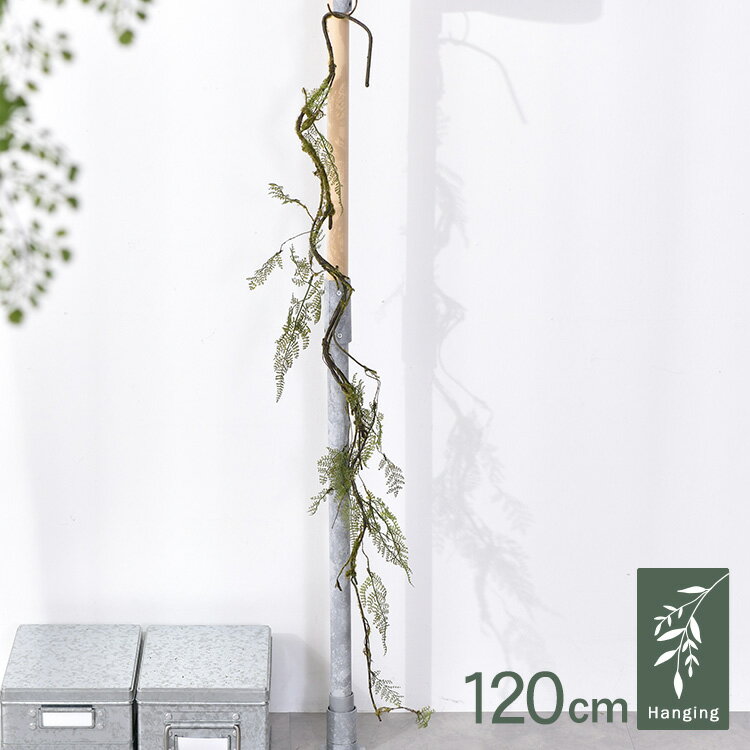 ⥹Х FG-4599GR տʪ ¤ ե꡼ ƥꥢ꡼ ܥ˥ ƥեե 󥸥...