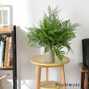 フェイクグリーン アレンジセットJ 観葉植物 造花 アレンジメント インテリアグリーン ボタニカル アーティフィシャルフラワー 癒し 風水 リラックス グリーン...