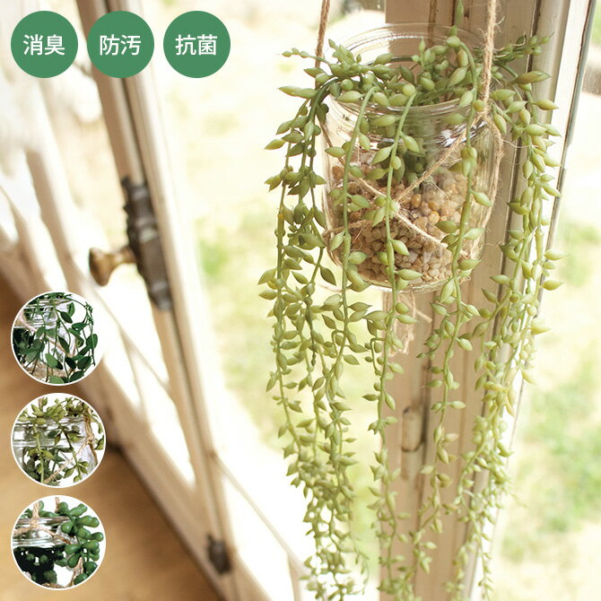 消臭アーティフィシャルグリーン ハンギング×ガラスジャー フェイクグリーン 消臭 抗菌 おしゃれ ペット ハンギング 吊るす CT触媒 人工観葉植物 アーティフィシャルグリーン