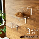 animacolle アニマコレ Catroad+ キャット ワイドステップ 3点セット NKC-###-5010 猫 賃貸 小さい穴 キャットステップ キャッ...
