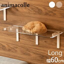 animacolle アニマコレ Catroad+ ロングステップ 幅60cm 猫 賃貸 小さい穴 キャットステップ キャットウォーク 壁 DIY ロング キャ...