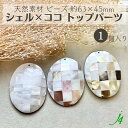 【 シェル × ココ トップ パーツ オーバル 約63×45mm 1ヶ j4 】 穴あり モザイク shell 楕円 貝 ココナッツ ナチュラル 天然 天然素材 自然 ハンドメイド 手作り パーツ ビーズ 業務用 アクセサリー ピアス イヤリング ネックレス