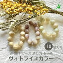 【 シェル 高瀬貝 ビーズ 丸玉 10mm 10ケ入り ヴィトライユ カラーj4 】 天然 天然素材 貝 貝殻 shell 海 sea マリン marine ナチュラル natural 自然 フルーツ fruit 丸 ハンドメイド 手作り パーツ アクセサリー ピアス イヤリング ネックレス
