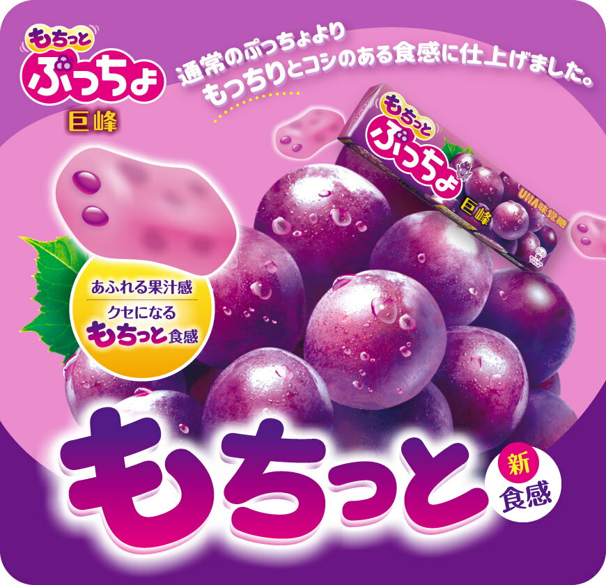 ぷっちょスティック ぶどう 10粒×10個　味覚糖 　送料無料　ネコポス便 2
