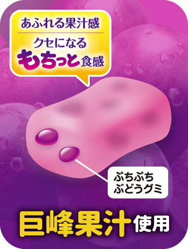 ぷっちょスティック ぶどう 10粒×10個　味覚糖 　送料無料　ネコポス便 3