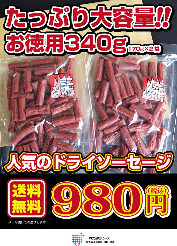 たっぷり お買得 ドライソーセージ 無選別ソフトカルパス170g×2袋 340g ネコポス便