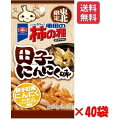 田子にんにく味 56g×40個 亀田の柿の種 東北限定 お土産シリーズ 2025.3月メーカー終売決定