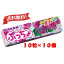 味覚糖 ぷっちょスティック ぶどう 10粒×10個　送料無料