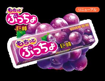 ぷっちょスティック ぶどう 10粒×10個　味覚糖 　送料無料　ネコポス便