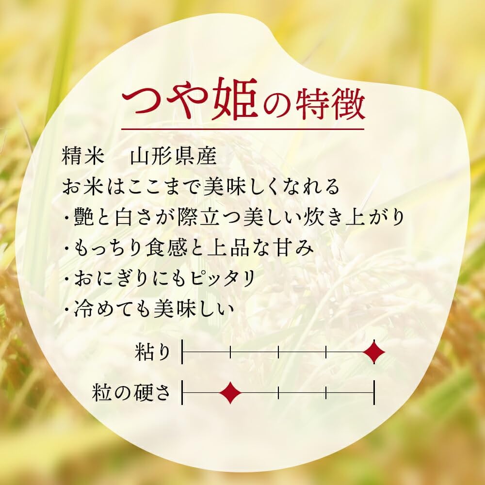 山形県産つや姫精米5kg×2袋　（合計10kg）　令和7年度産