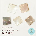 【月間優良ショップ2025年8月★記念50%0FFSALE】シェルプレートパーツ スクエア 1穴/2穴 各3色【在庫限り/ビーズ/天然シェル/ハンドメイド/手芸/ハンドメイドアクセサリー/夏】