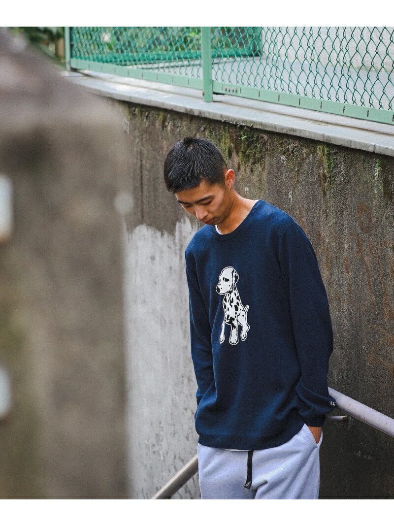 【SALE／30%OFF】fLAnsisCA / Jacquard Knit 22AW BEAMS T ビームスT トップス ニット ネイビー ベージュ グレー ブラック【RBA_E】【送料無料】[Rakuten Fashion]のサムネイル