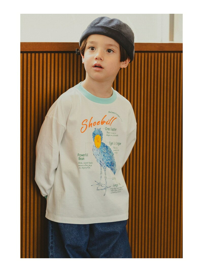 【COLLABORATION】那須どうぶつ王国・神戸どうぶつ王国 / 博士 ロングスリーブ Tシャツ 2026FW(100~140cm) BEAMS mini ビームス ミニ トップス カットソー・Tシャツ[Rakuten Fashion]