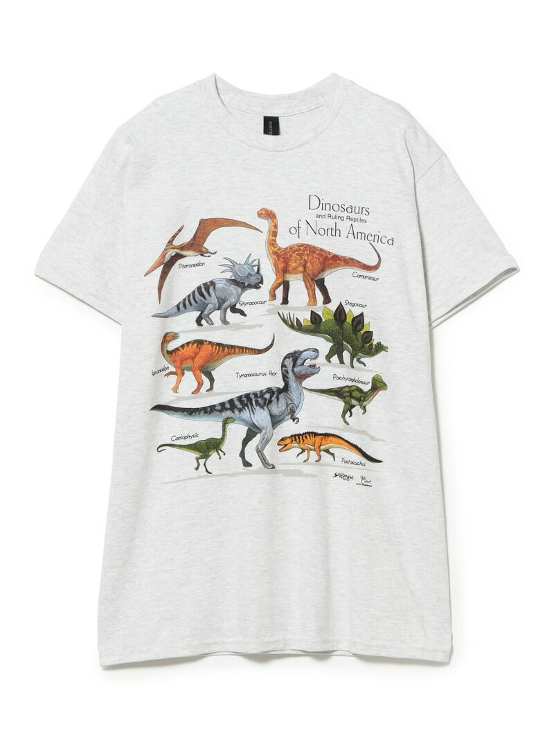 【別注】Atlas Screen Printing / Dinosaur Tee BEAMS BOY ビームス ウイメン トップス カットソー・Tシャツ【送料無料】[Rakuten Fashion]