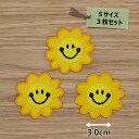 アイロンワッペン(フラワースマイル)(Sサイズ)3枚セット