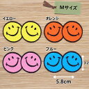 アイロンワッペン( ダブルスマイル )(カラー)(Mサイズ)