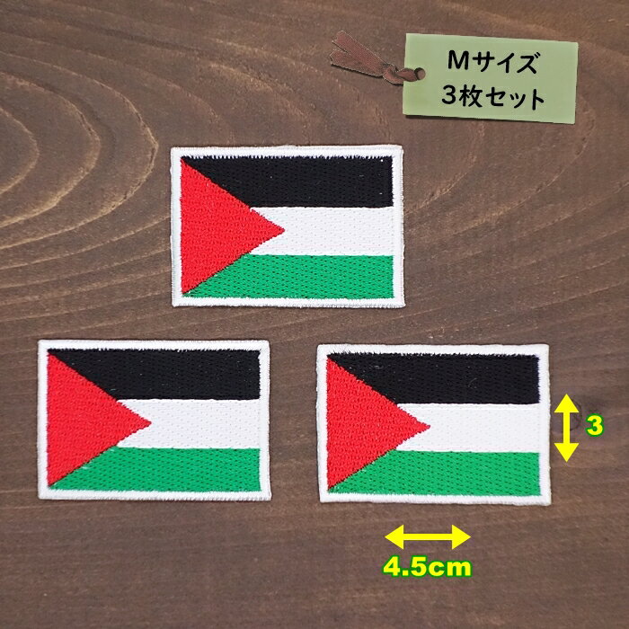 アイロンワッペン（ パレスチナ旗 )(Mサイズ) 3個セット