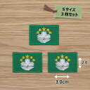 アイロンワッペン( マカオ旗 )(Sサイズ) 3個セット