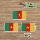 アイロンワッペン( カメルーン国旗 )(Sサイズ)3個セット