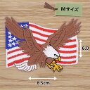 アイロンワッペン ( 星条旗イグール )(Mサイズ)
