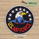 アイロンワッペン ( US エアフォース コンドルブラック) (Mサイズ)