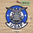 アイロンワッペン ( US AIR FORCE USAF ) (Mサイズ)
