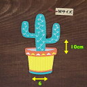 アイロンワッペン( サボテン )( Mサイズ )