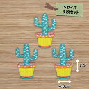 アイロン ワッペン( サボテン )(Sサイズ) 3枚セット