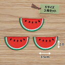 アイロン ワッペン( スイカ カット )(Sサイズ) 3枚セット