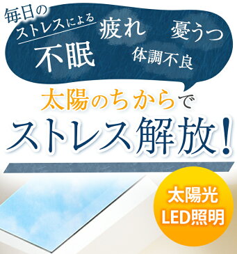 【お見積り＆お問い合わせください】LED シーリングライト 天井照明 太陽光 不眠 憂うつ 予防 体内時計 EWINDOW 120cm 天窓 照明 LED リフォーム シーリングライト ビームテック