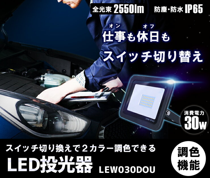 LED投光器 電球色 昼光色 黒 白 30W IP65 屋内 屋外 防塵 耐塵 防水