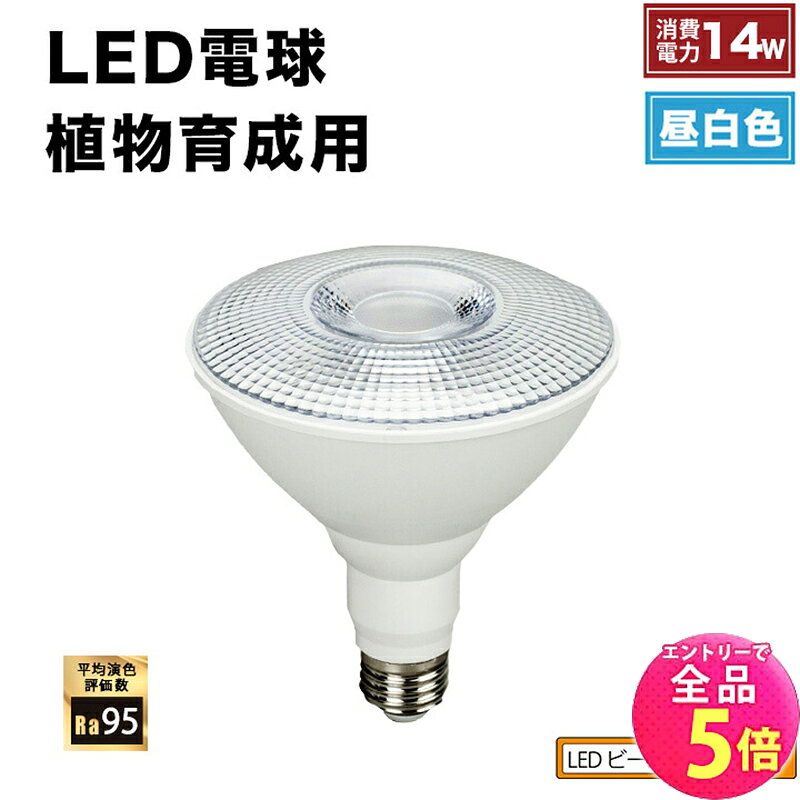 LED栽培セット